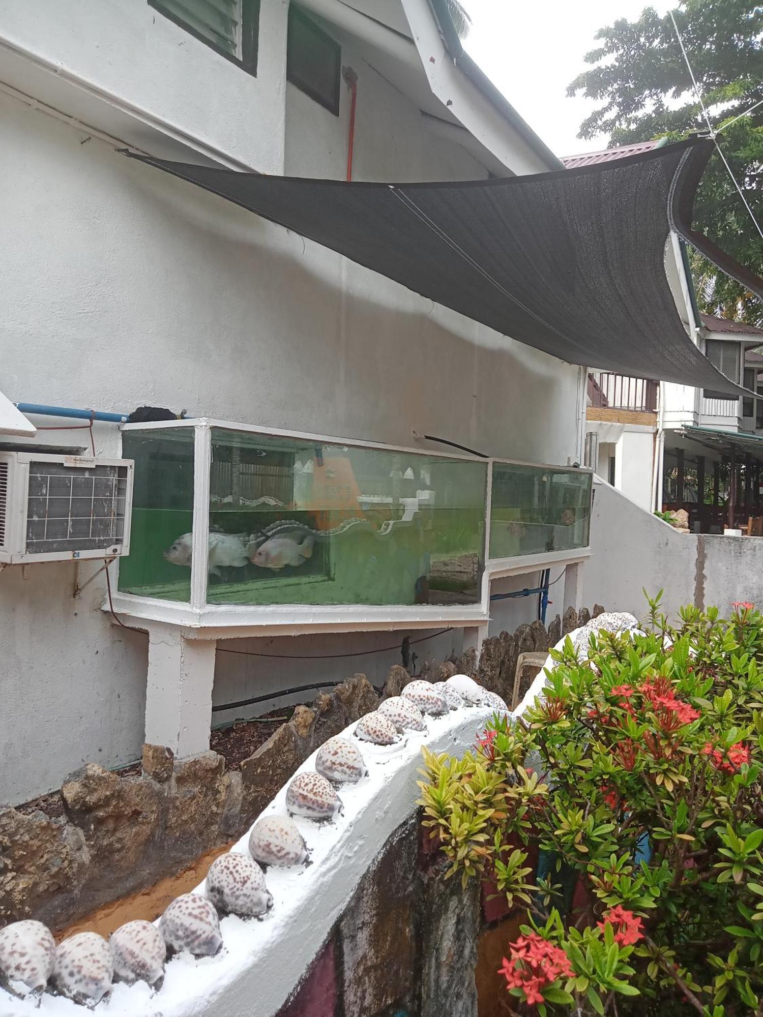 Czar'S Place Siquijor Dış mekan fotoğraf